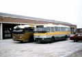 Museumbus-754-131-a