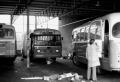 Museumbus-754-139-a