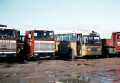 Museumbus-754-140-a