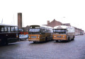Museumbus-754-147-a