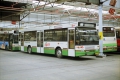 1_401-C6-DAF-Hainje-a