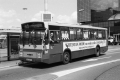 218-8 DAF-Hainje recl-a