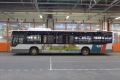 243-3 Mercedes-Citaro recl -a