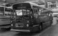 201-25-Leyland-Panther-a