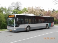 216-7 Mercedes-Citaro -a