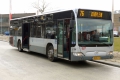 244-15 Mercedes-Citaro -a