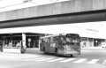249-02-Leyland-Panther-a