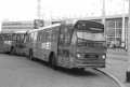 251-04-Leyland-Panther-a
