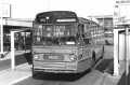 252-01-Leyland-Panther-a