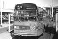 257-03-Leyland-Panther-a