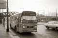 259-02-Leyland-Panther-a
