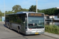 245-9 Mercedes-Citaro -a