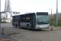 250-17 Mercedes-Citaro -a