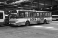 317-11-DAF-Hainje-recl-a