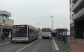 331-5 Mercedes-Citaro -a