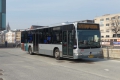 338-7 Mercedes-Citaro -a