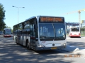 343-1 Mercedes-Citaro -a