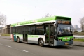 404-34-Citea-E-Busz-a