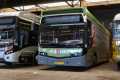 405-142-Citea-E-Busz-a