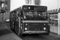 421-DAF-Hainje-01a