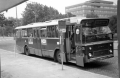 431-DAF-Hainje-01a