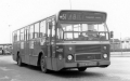 1_491-5-DAF-Hainje-a