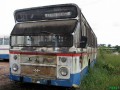 579-11-DAF-Hainje-a