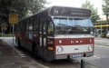 646-9 DAF-Hainje -a