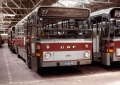 654-5 DAF-Hainje -a