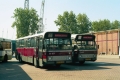 730-3 DAF-Hainje -a