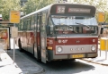 755-3 DAF-Hainje -a