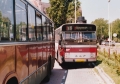 781-7 DAF-Hainje -a