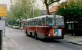 955-7 DAF-Hainje -a