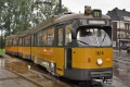 1614-7 mus -a