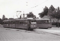 Groenezoom 1965-B -a