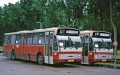 207-10 DAF-Hainje -a