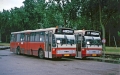 207-7 DAF-Hainje -a