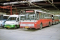 304-4 DAF-Hainje-a