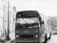 307-03-Leyland-Leopard-a