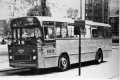 308-01-Leyland-Leopard-a