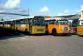 316-05-Leyland-Leopard-a