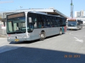 304-1 Mercedes-Citaro -a