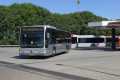 311-15-Mercedes-Citaro-a