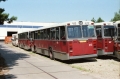 913-3 DAF-Hainje -a