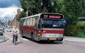 914-8-DAF-Hainje-a