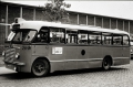 289-2a-Saurer-Hainje